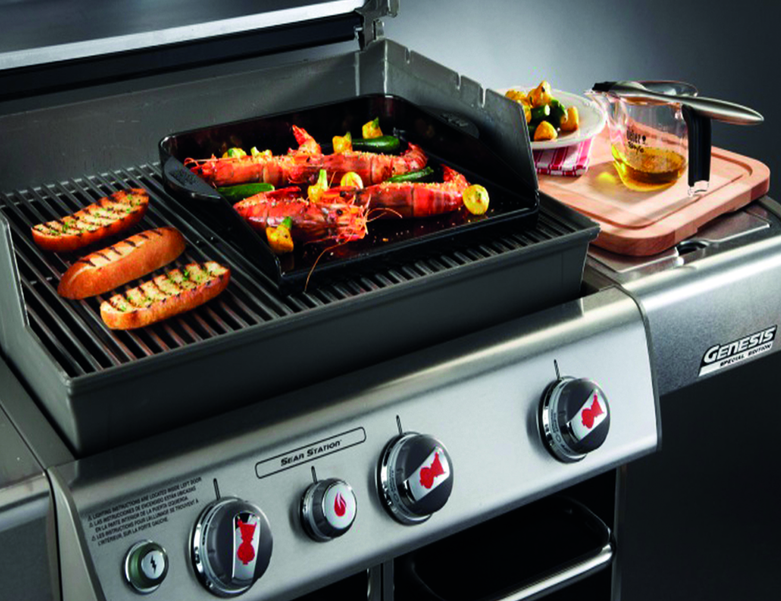 BARBACOAS Y PLANCHAS